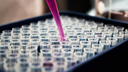 Los biomateriales inteligentes están revolucionando la medicina al ofrecer soluciones dinámicas y adaptativas para el tratamiento y la regeneración del cuerpo humano