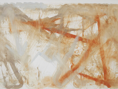 Reena Spaulings, Later Seascapes 1, 2014, Farrow & Ball “estate emulsions” on canvas, 254 x 442 cm / 100 x 174 inches, Courtesy of Campoli Presti, London / Paris 