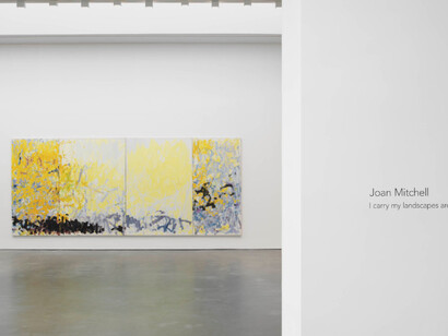 I carry my landscapes around with me. Courtesy of David Zwirner Gallery