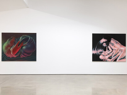 Various artists, Soft focus, exhibition view. Courtesy of The Hole 