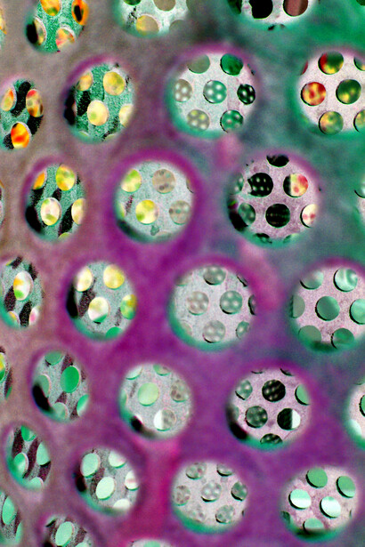 Kleoniki Vanos, Growth & Evolution 1, 800 x 600  