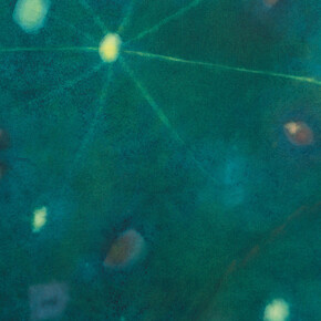 Loren Erdrich, Arc I (detail), 2026. Courtesy of Shrine 