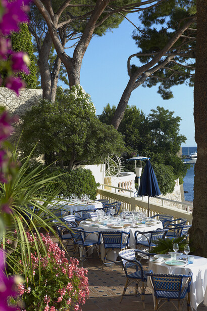 Restaurant Terrasse, dressee jour