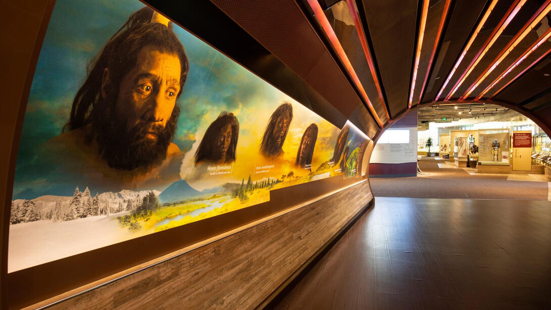 David H. Koch Hall of Human Origins. Courtesy of Smithsonian's National Museum of Natural History