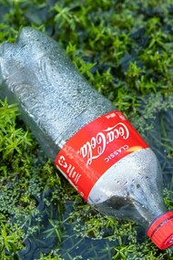Bottiglietta di Coca Cola, rifiuto abbandonato in natura