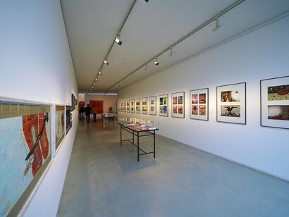 Illustrations. Courtesy of Danubiana