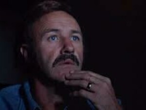 Il protagonista, Harry Moseby (Gene Hackman) è l'emblema cinematografico di una generazione di deboli e sconfitti, tipica degli anni ’70