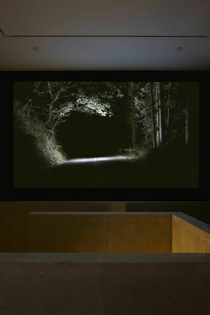 Carlos Irijalba, Inertia, 2012, HD video, colour, sound, 04:20 min, courtesy of the artist and Carroll / Fletcher