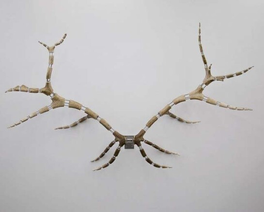 Simultaneity Biases. Courtesy of Blain Southern Gallery 