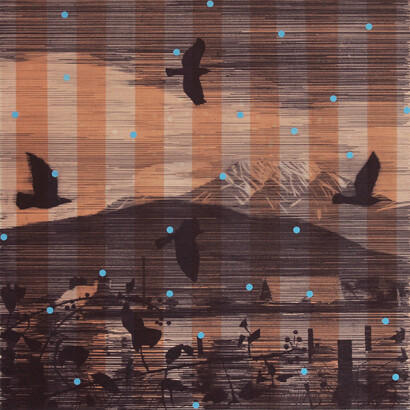 Niall Naessens, Crows and  Briars, Drawing-Monoprint, 50 x 50 cm