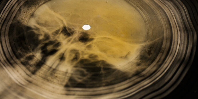 Bone Music. Courtesy of Garage Museum of Contemporary Art