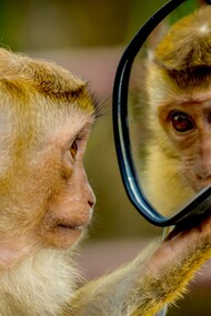 Ensayo sobre la inteligibilidad de la naturaleza