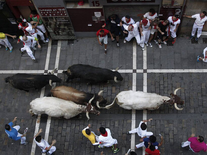 Fiestas de San Fermín en Pamplona. Toros y cabestros avanzan entre los mozos
