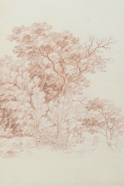 Anton Graff, Baumstudie, 1798. Courtesy of Gemäldegalerie