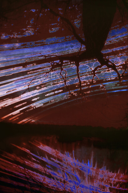 Robert Charles Mann, Solaris. Avec l'aimable autorisation du Château de Chambord