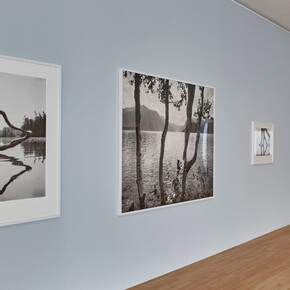 Ray 2018. Courtesy of Museum für Angewandte Kunst