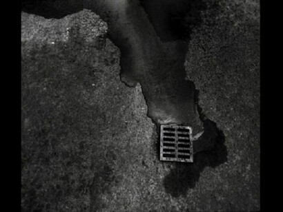 Paúl Rosero Contreras