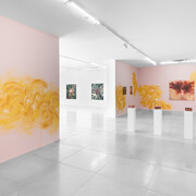 Mika Takahashi, Chuva solar, vista da exposição. Cortesia da Galeria Simões de Assis