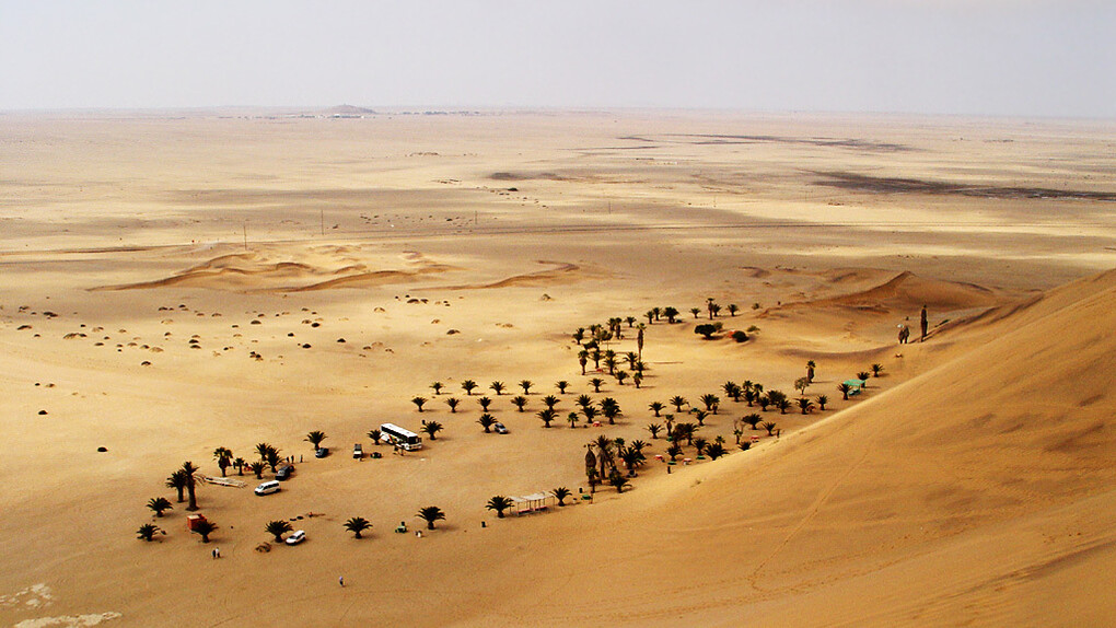 The Namib desert