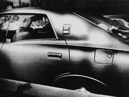 Daido Moriyama, Memory of Dog 2, 1982/2013, © Daido Moriyama