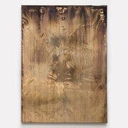 Michael Joo. Courtesy of Galeria Carles Taché
