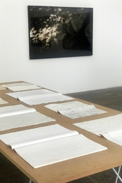 Pore. Courtesy of New Brunswick Museum