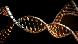 Representation of the human DNA strand intertwined with food elements