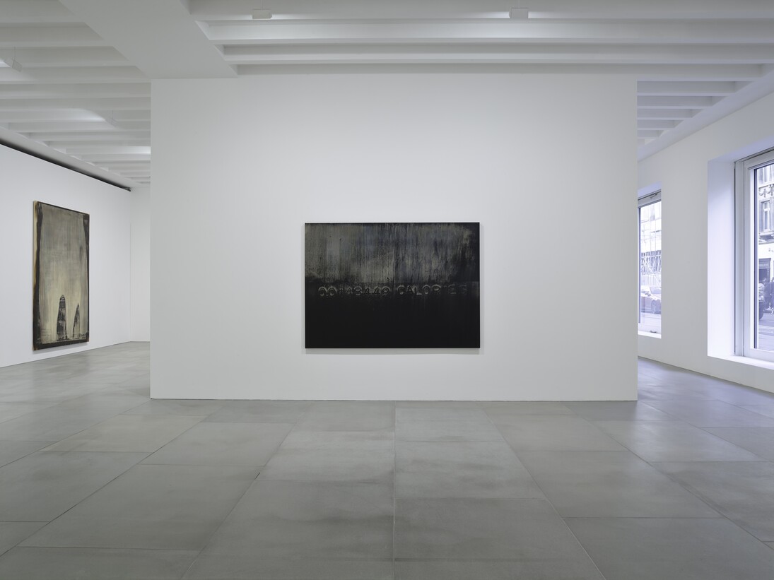 Michael Joo, Radiohalo installation view, 2016, Courtesy the artist and BlainSouthern