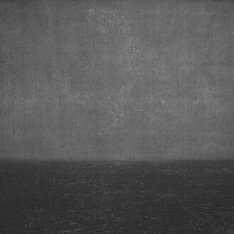 Alan Caomin Xie, The Parable of The Skilled Physician, 90x72 inches, 2020. Courtesy of the artist and Sandler Hudson Gallery
