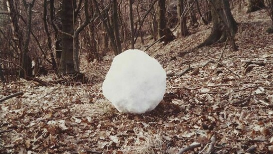 Andy Goldsworthy, Snowball, 1979, Courtesy Arts Council Collection, Southbank Centre, London, Copyright the artist