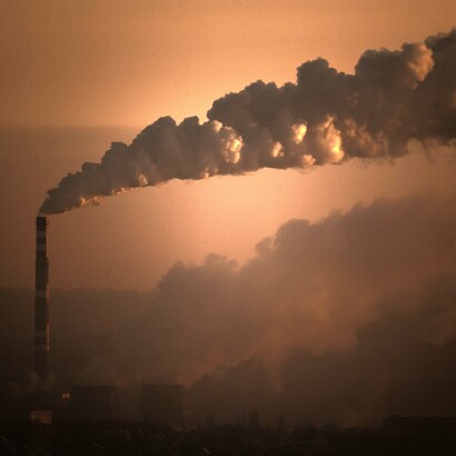 Under an ecological tax system, all goods and services will be rated based on their degree of sustainability