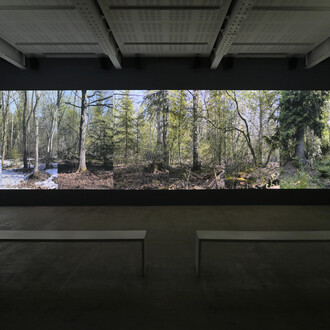 Eija-Liisa Ahtila, On breathing, exhibition view. Courtesy of Marian Goodman Gallery