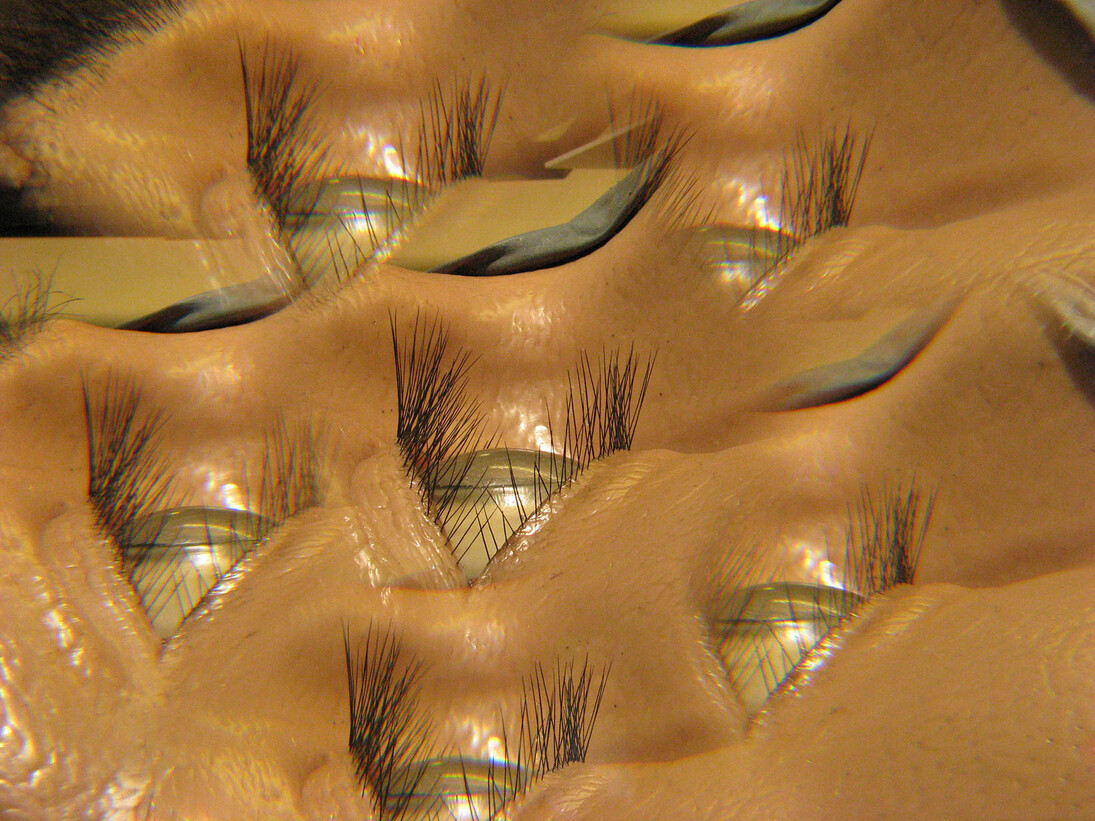 Beatrice M. Serpieri, Spatium serenitatis