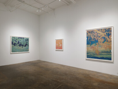 Maysey Craddock, Waterlines, exhibition view. Courtesy of Cris Worley Fine Arts