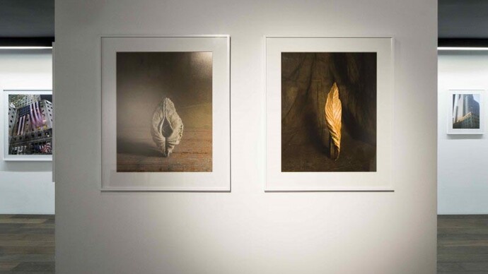 Inside | Outside. Courtesy of Polka Galerie