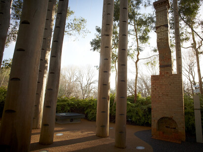 Forest gallery, exhibition view. Courtesy of Melbourne Museum