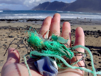 Cosa c'è nei nostri mari