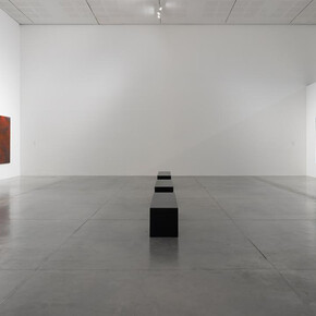 Eti Jacobi Lelior, Monkeys in the mist, exhibition view. Courtesy of Tel Aviv Museum of Art