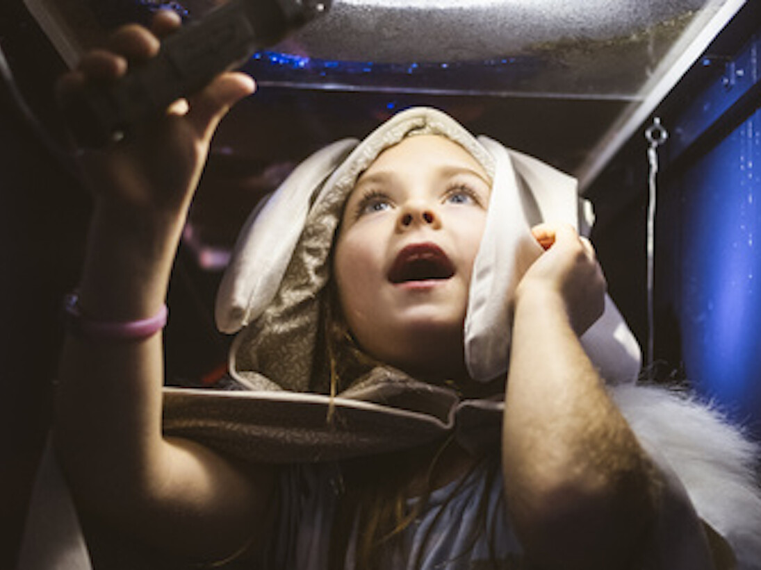 Curiosities. Courtesy of Musée national des beaux-arts du Québec