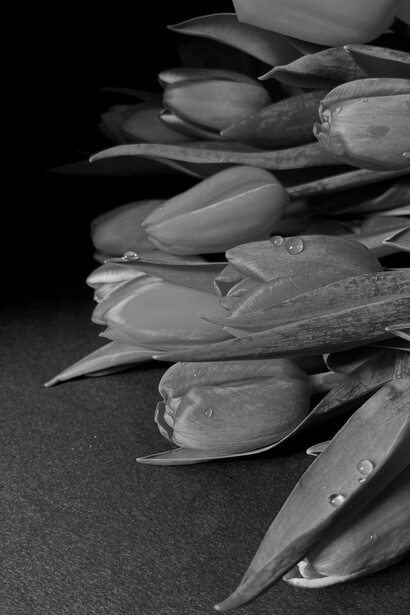 Encontrar consolo durante o luto é um processo difícil, mas saber que a dor é compartilhada pode trazer algum conforto e alívio