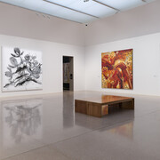 Ngura Puḻka, Epic country, exhibition view. Courtesy of National Gallery of Australia