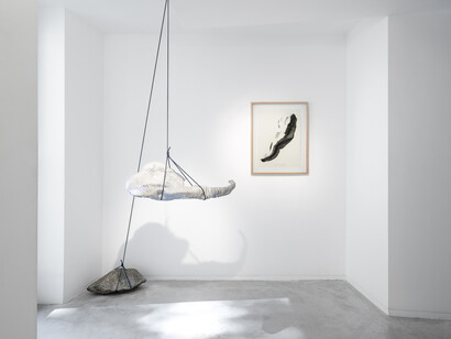 Capucine Vever, Where dragons collapse (Là où s’effondrent les dragons), exhibition view. Courtesy of Galerie Eric Mouchet