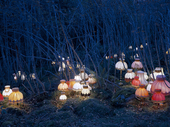 Rune Guneriussen, Capacity to Breed and Recover, 2013, C-print, Edition of 5, No. 5/5. 49 x 72 in.