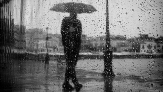 Increíble que una persona como Salomón, pasara inadvertido: largo como su nombre se extendía al cielo igual que un ciprés