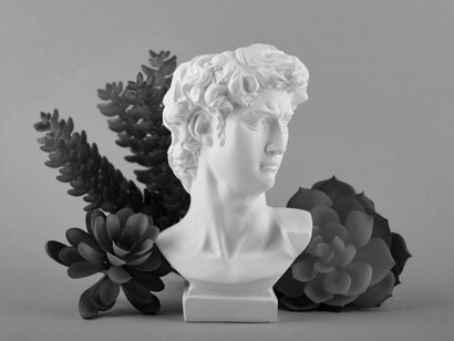 En el arte amatorio, la misma Venus,  
se erige en maestra de deidad