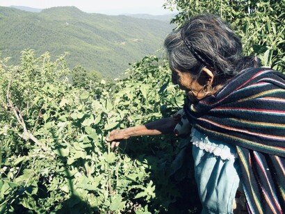 Pilar mentre mi porta in esplorazione del suo profumato e variegato giardino