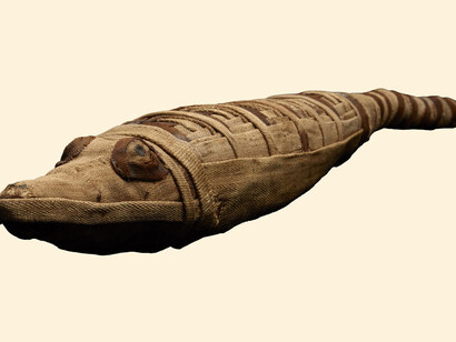 Mummies. Courtesy of Field Museum