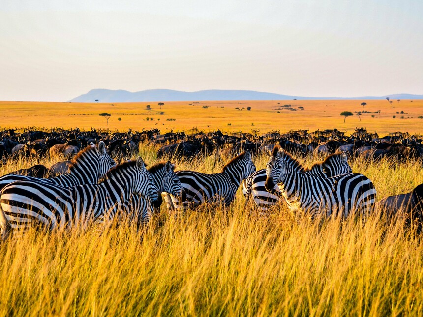 Why Kenya is the gateway to Africa