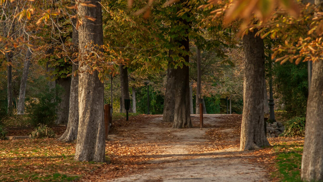 Hoy el parque estaba vacío. Habitado solo por el fantasma de la inseguridad