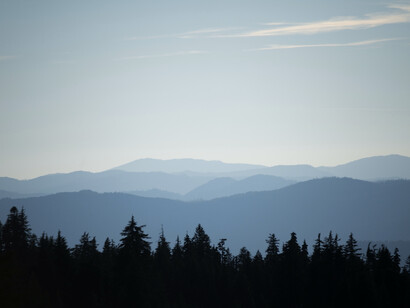 All become secondary, to a perceived inner moment of silence